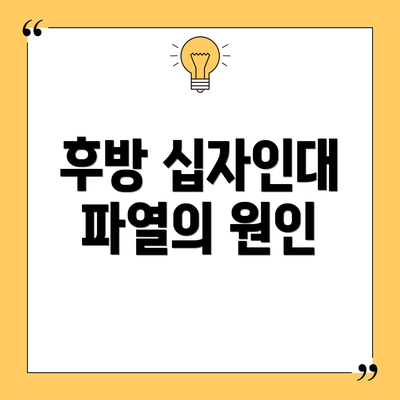 후방 십자인대 파열의 원인