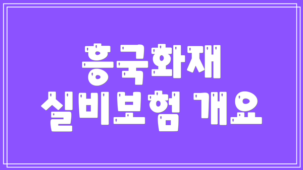 흥국화재 실비보험 개요