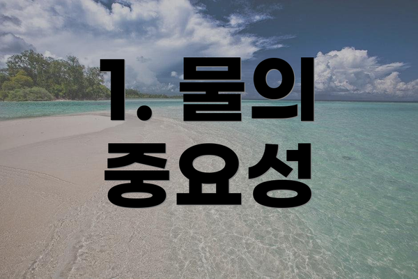 1. 물의 중요성