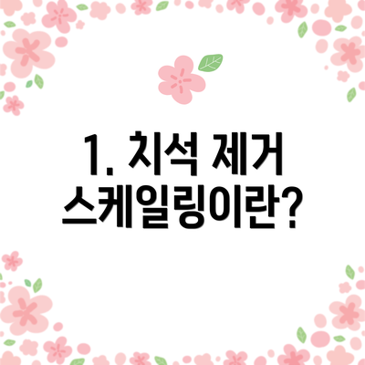 1. 치석 제거 스케일링이란?