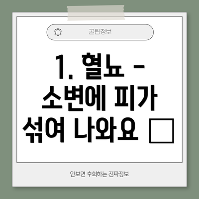 1. 혈뇨 - 소변에 피가 섞여 나와요 🩸