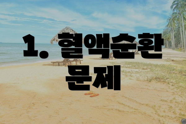 1. 혈액순환 문제