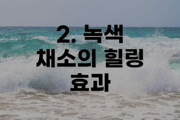 2. 녹색 채소의 힐링 효과
