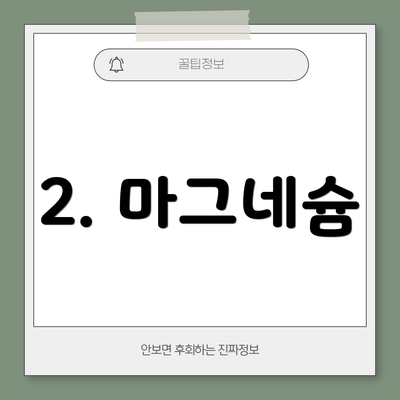 2. 마그네슘