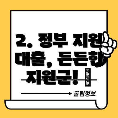 2. 정부 지원 대출, 든든한 지원군! 🤝