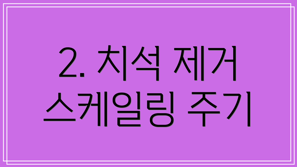2. 치석 제거 스케일링 주기