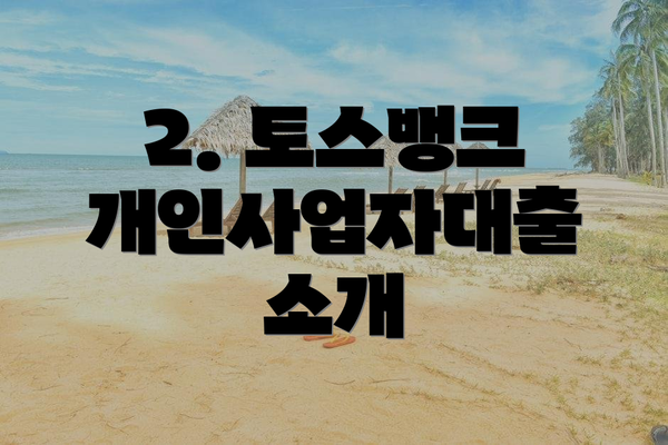 2. 토스뱅크 개인사업자대출 소개