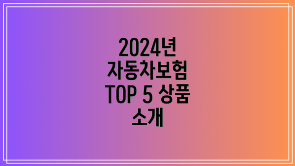 2024년 자동차보험 TOP 5 상품 소개