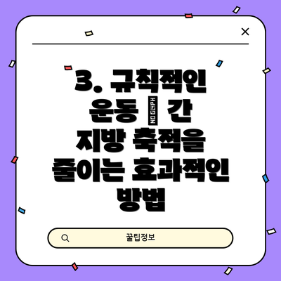 3. 규칙적인 운동 – 간 지방 축적을 줄이는 효과적인 방법