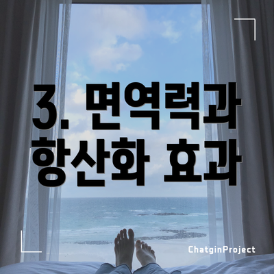 3. 면역력과 항산화 효과
