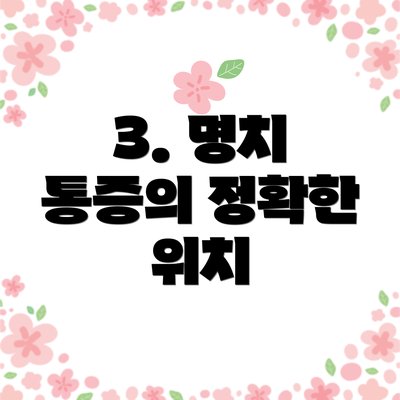 3. 명치 통증의 정확한 위치