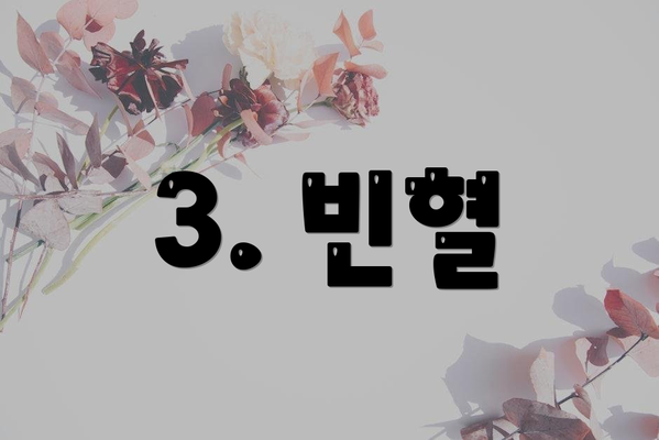 3. 빈혈