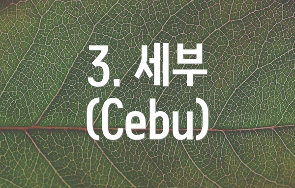 3. 세부 (Cebu)