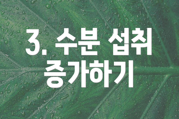 3. 수분 섭취 증가하기