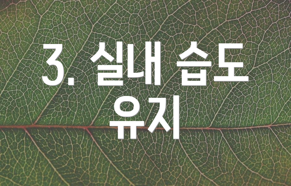 3. 실내 습도 유지