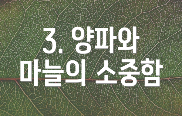3. 양파와 마늘의 소중함