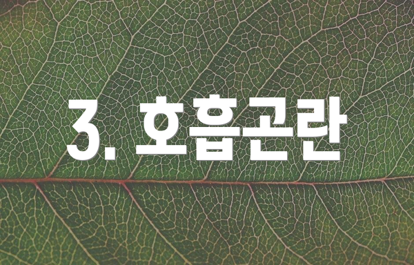 3. 호흡곤란