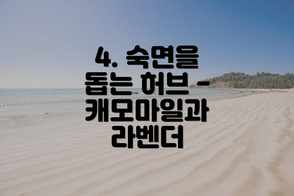 4. 숙면을 돕는 허브 - 캐모마일과 라벤더