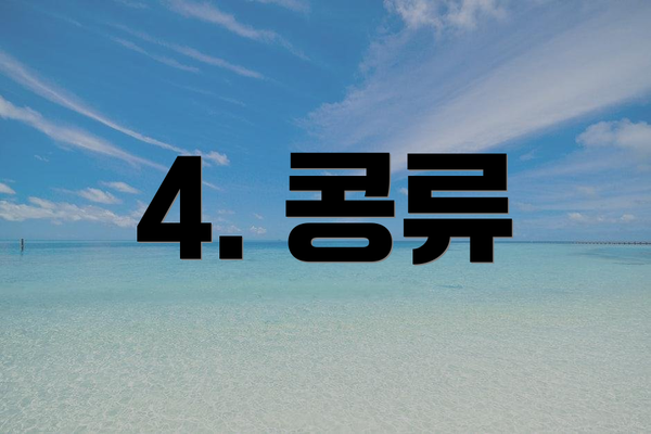 4. 콩류