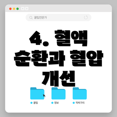 4. 혈액 순환과 혈압 개선