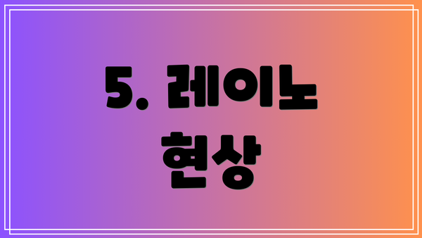 5. 레이노 현상