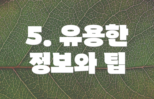 5. 유용한 정보와 팁