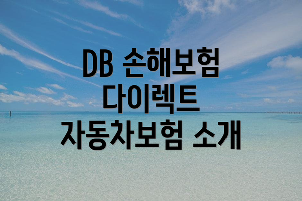 DB 손해보험 다이렉트 자동차보험 소개