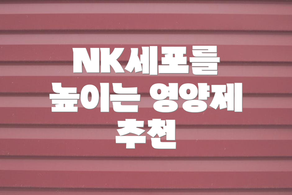 NK세포를 높이는 영양제 추천