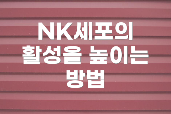 NK세포의 활성을 높이는 방법