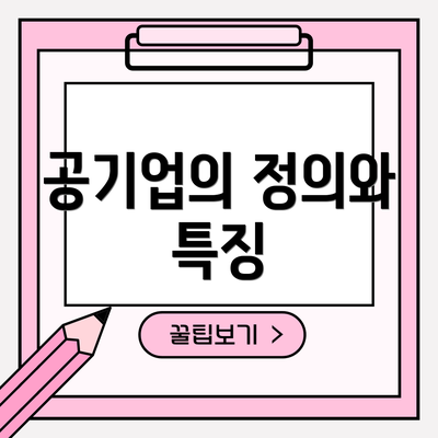 공기업의 정의와 특징