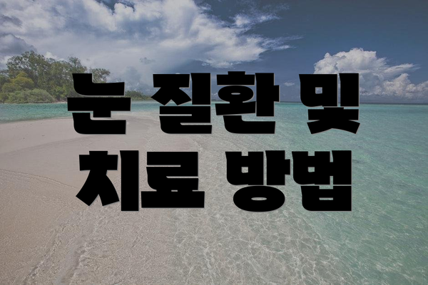 눈 질환 및 치료 방법