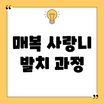 매복 사랑니 발치 과정