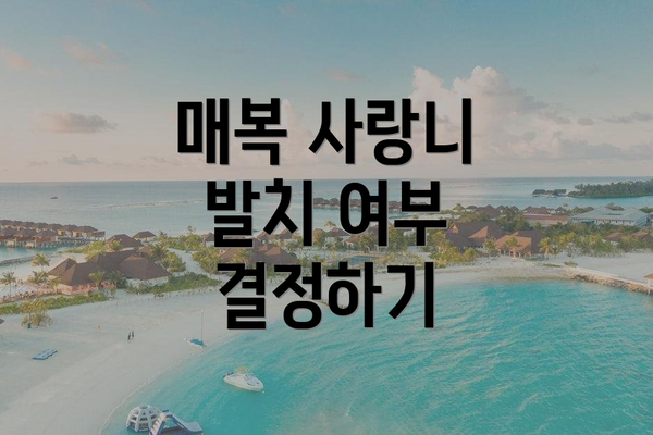 매복 사랑니 발치 여부 결정하기