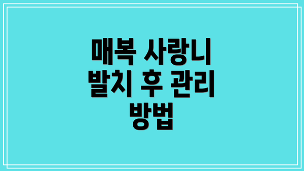 매복 사랑니 발치 후 관리 방법