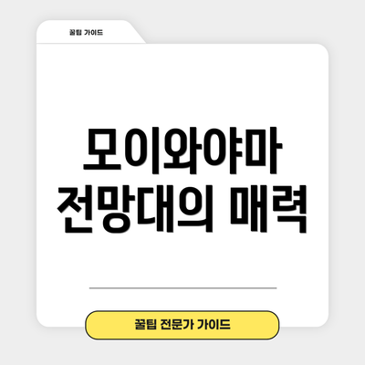 모이와야마 전망대의 매력