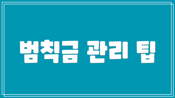 범칙금 관리 팁