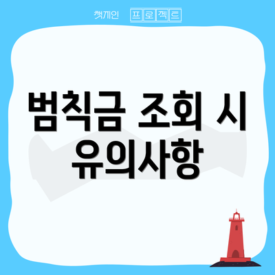 범칙금 조회 시 유의사항
