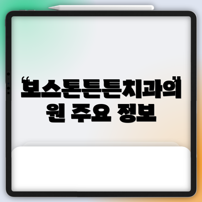 보스톤튼튼치과의원 주요 정보