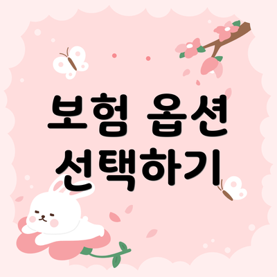 보험 옵션 선택하기