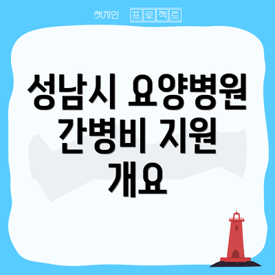 성남시 요양병원 간병비 지원 개요
