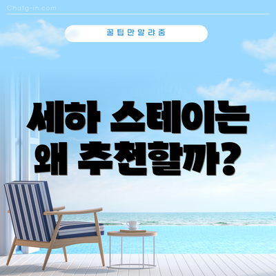 세하 스테이는 왜 추천할까?