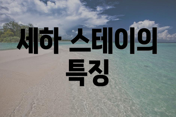 세하 스테이의 특징