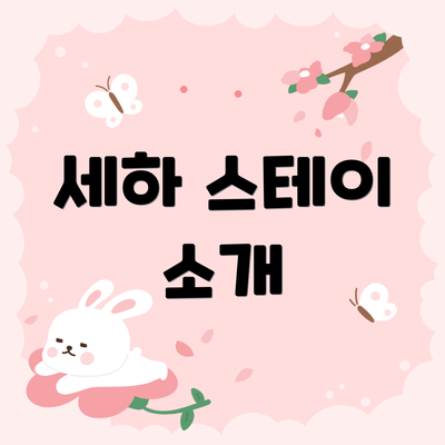 세하 스테이 소개