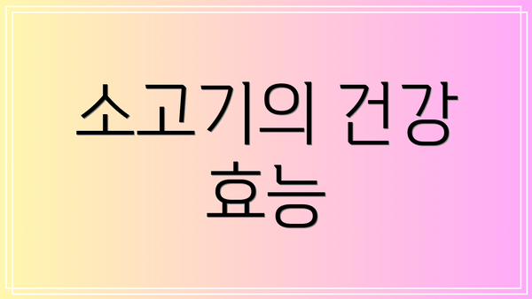 소고기의 건강 효능