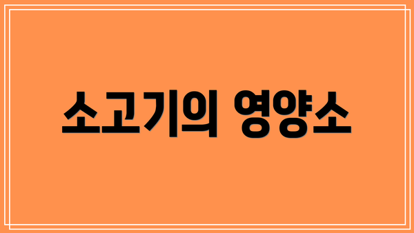 소고기의 영양소