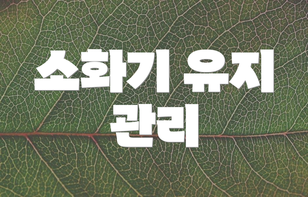 소화기 유지 관리