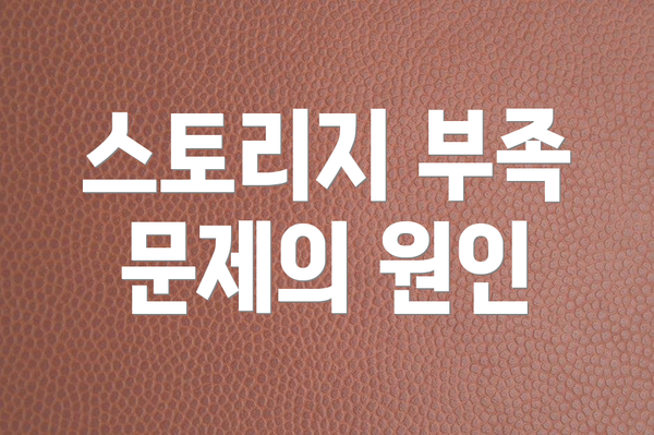 스토리지 부족 문제의 원인