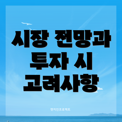 시장 전망과 투자 시 고려사항