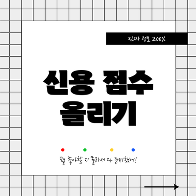 신용 점수 올리기
