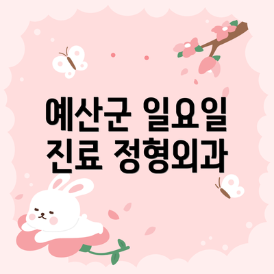 예산군 일요일 진료 정형외과